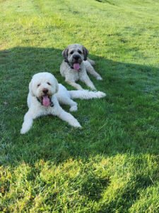 Oli&Seb_theDoodleDuo