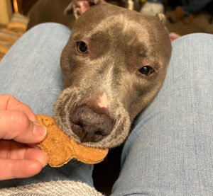 Macklands Munchies LLC