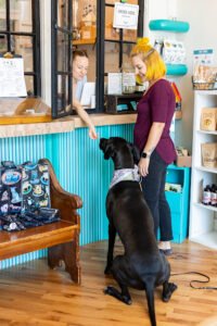 Zoomies Pet Cafe + Boutique