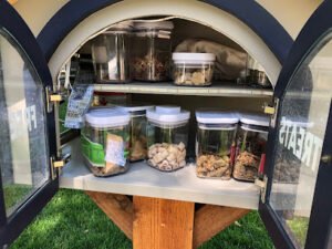 Little Free Dog Box
