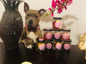 Bella’s treats