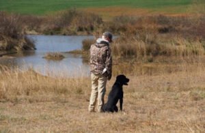 Wallace Retrievers, LLC