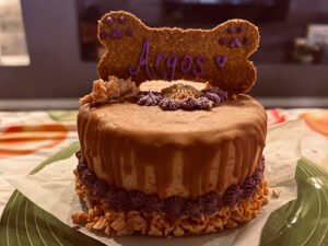 Double Dog Dare Bakery – El Paso Now Co-Located with MUTTZ El Paso