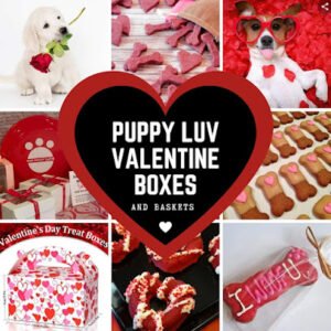 Bark N Sniff Gourmet Dog Bakery Boutique