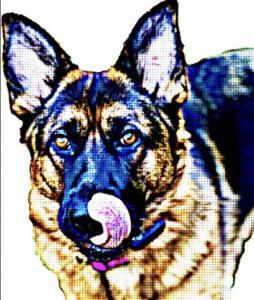 The K9 Kitchen